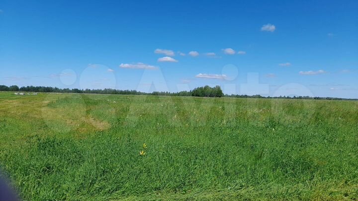 Участок 4,8 га (СНТ, ДНП)