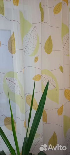 Тюль,ламбрикен