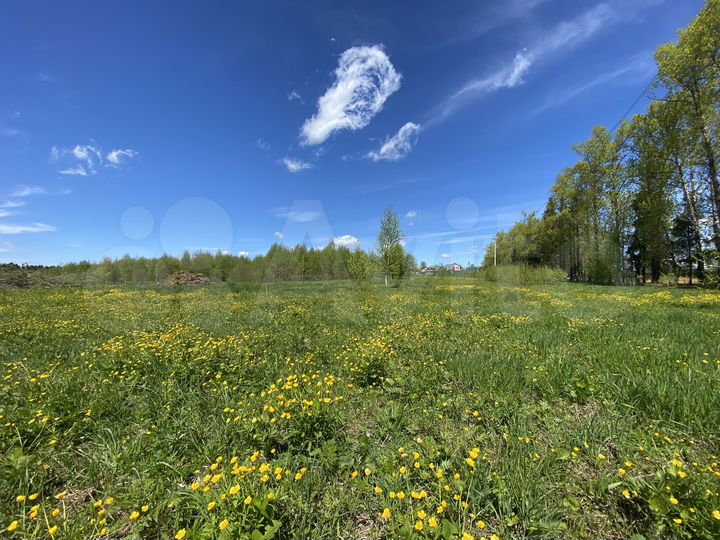 Участок 6 сот. (СНТ, ДНП)