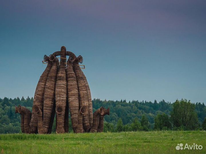 Экскурсия — Калуга — Поездка вкрупнейший арт-парк