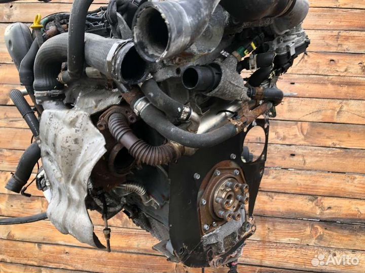 Двигатель Opel Zafira 2007 Z19DTH