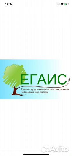 Ведение Лес ЕГАИС