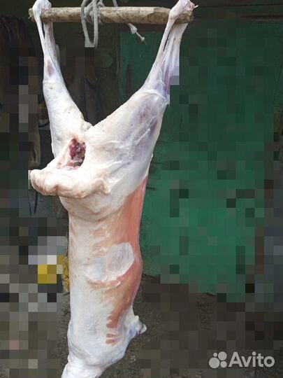 Мясо баранина свежая молодая