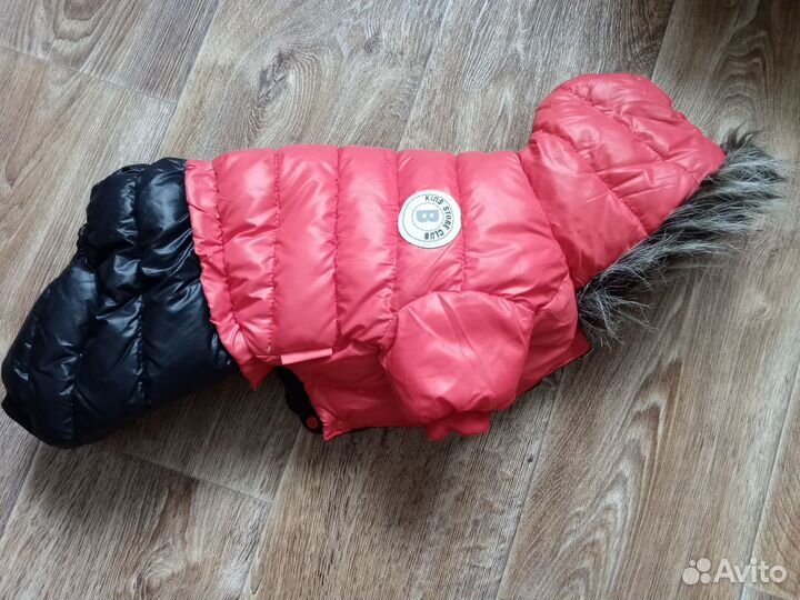 Одежда для собак