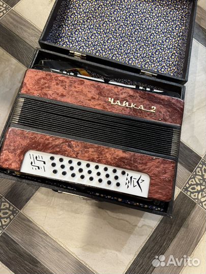 Гармонь чайка 2