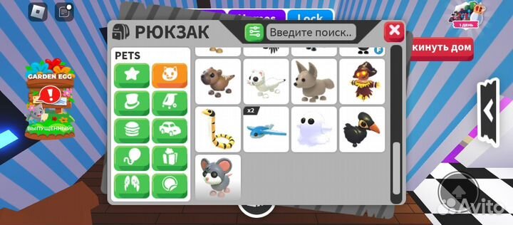 Петы в адопт ми