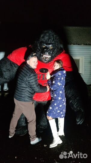 Белый мишка, Кинг-Конг, зайка, панда, чебурашка