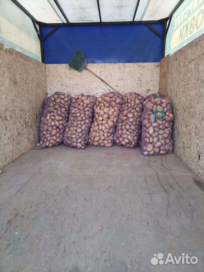 Продам картофель оптом