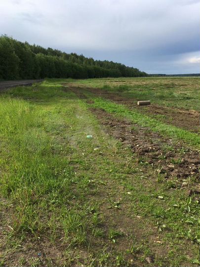 Участок 4,9 га (СНТ, ДНП)