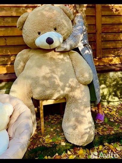 Огромный плюшевый медведь Анатолий