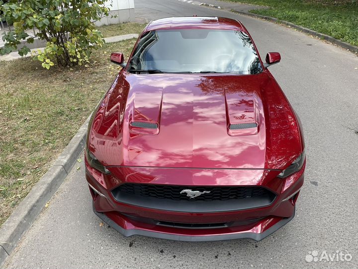Ford Mustang 2.3 AT, 2019, 51 000 км