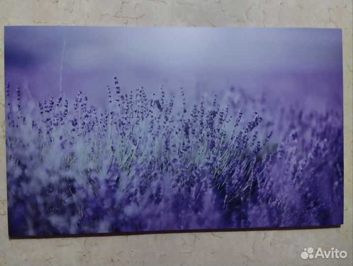 Большая картина Лаванда 60:100