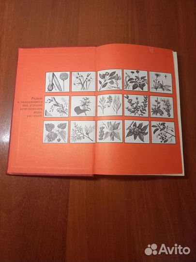 Редкие и исчезающие растения В.И.Артамонов