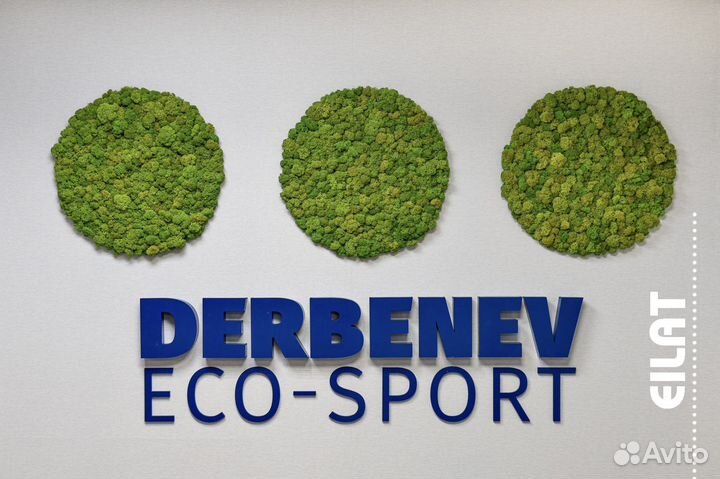 Мох Стабилизированный Круги Панно