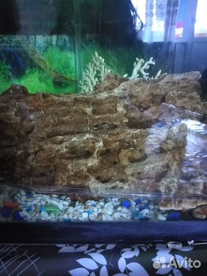 Продам грот, коралл, камушки в аквариум