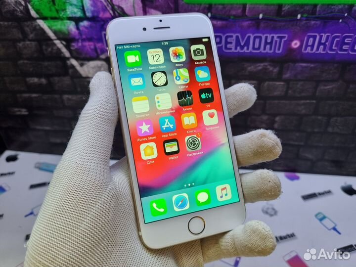 iPhone 6