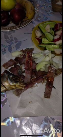 Лещ Астраханский