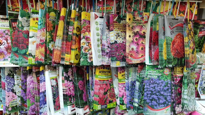 Семена цветы