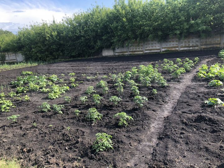 Дом 84 м² на участке 16,8 сот.