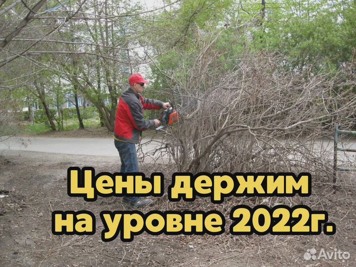 Расчистка участка, спил деревьев, демонтаж