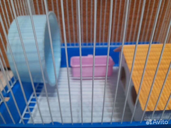Клетка для хомяка