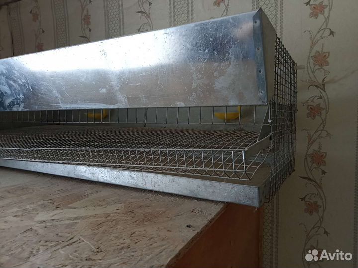 Клетка для перепелов