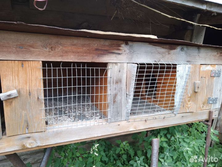 Клетки для кроликов бу
