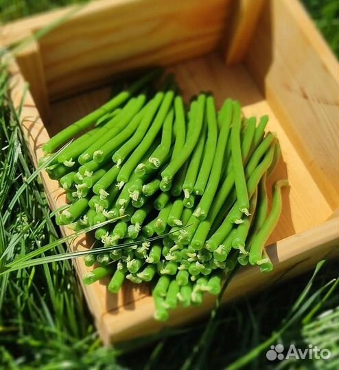 Свечи восковые цветные