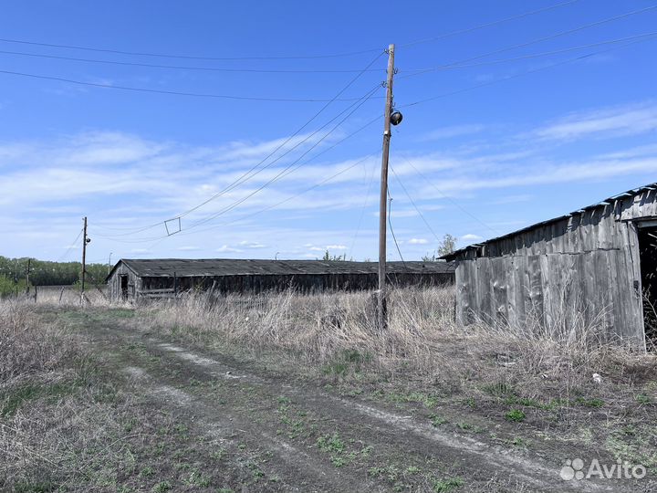 Отдам здания под снос