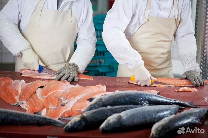 Укладчик на производство морепродуктов(вахта)