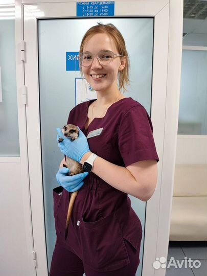 Ветеринарные услуги.Ратолог