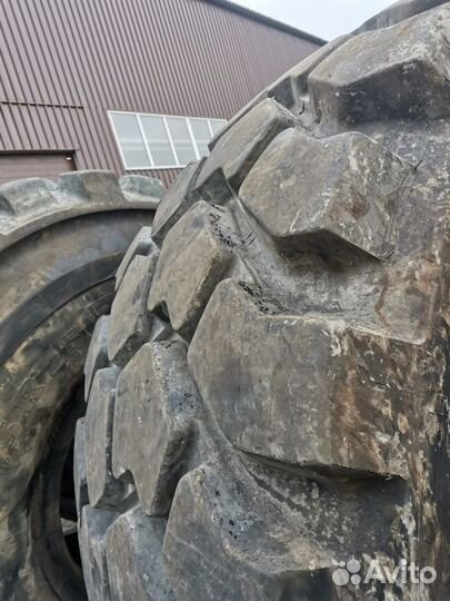 Шины 29.5 R25 Michelin xadn