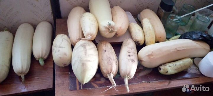 Картофель, кабачки обмен на молочные продукты