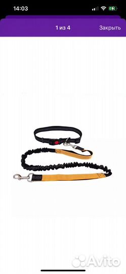 Поводок с поясом для бега для собак