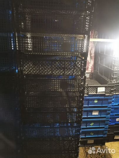 Продаю ящики пластиковые, для хранение овощей