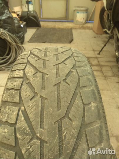 Tigar Winter 195/60 R15