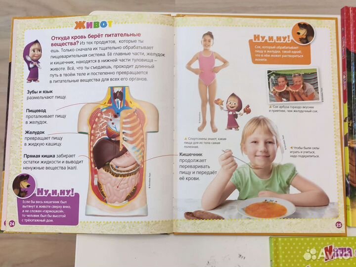 Маша и Медведь: Фигуры, Тело человека, Время