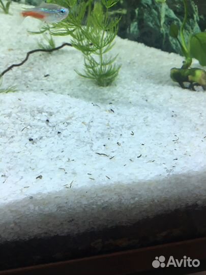 Грунт кварцевая крошка белая с примесью лавы