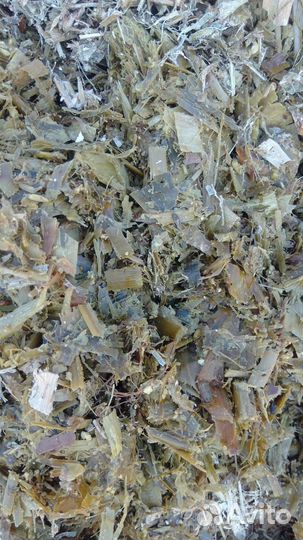 Силос кукурузный 2023 г