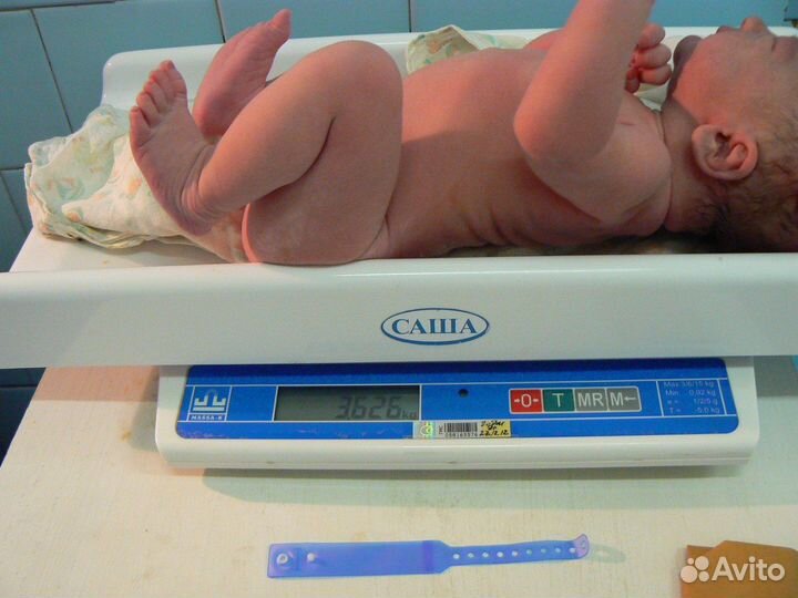 Весы для новорожденных саша, пpoкaт