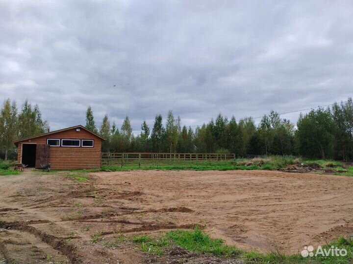 Постой лошадей