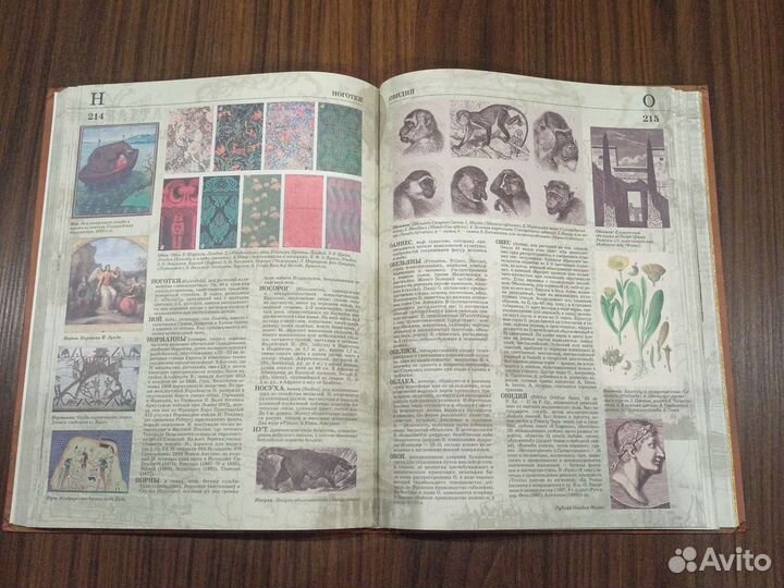 Иллюстрированный энциклопедический словарь