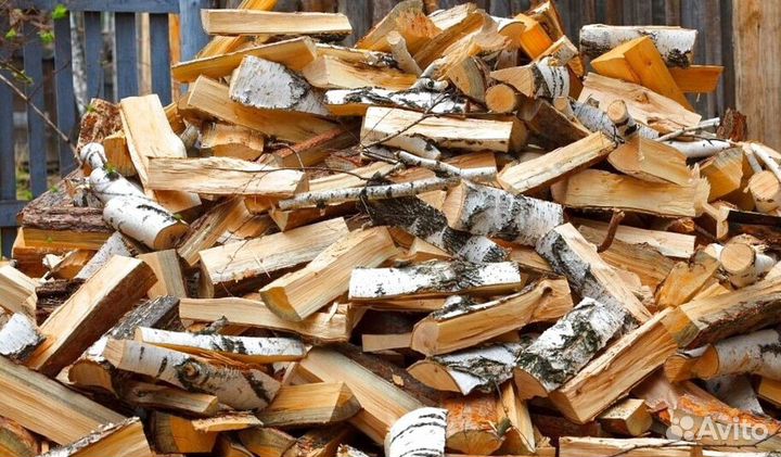 Кора березы