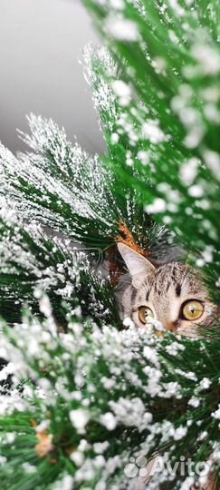 Елка новогодняя Сосна Искусственная