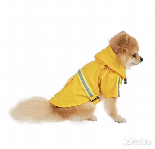 Дождевик для маленьких собачек