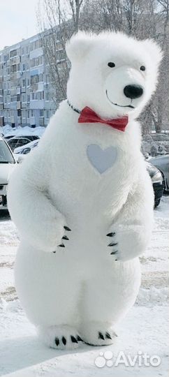 Белый розовый мишка поздравление ростовой медведь