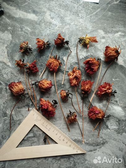 Сухоцветы для творчества эпоксидной смолы картин