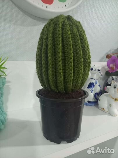 Вязаные кактусы