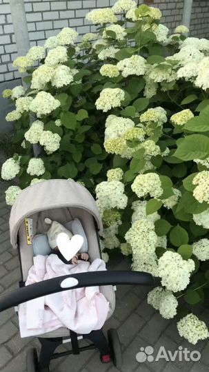 Коляска-автокресло Foo Foo Vinng