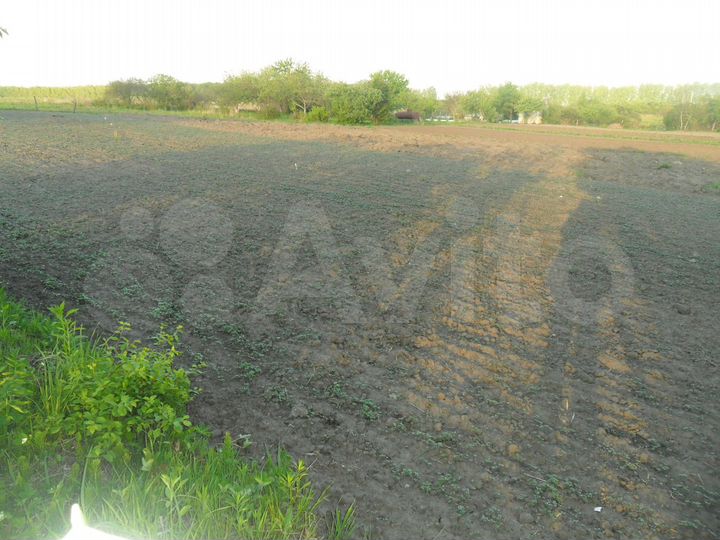 Участок 15 сот. (ИЖС)